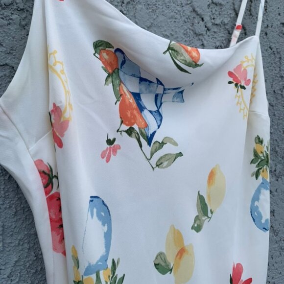 Abercrombie & Fitch Dress, Summer, fish, tomatoes, fruit, vegetables, - Picture 3 of 6